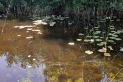 1_Tuin-van-Bram-5257